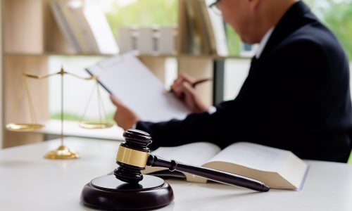 Gavel and a lawyer working